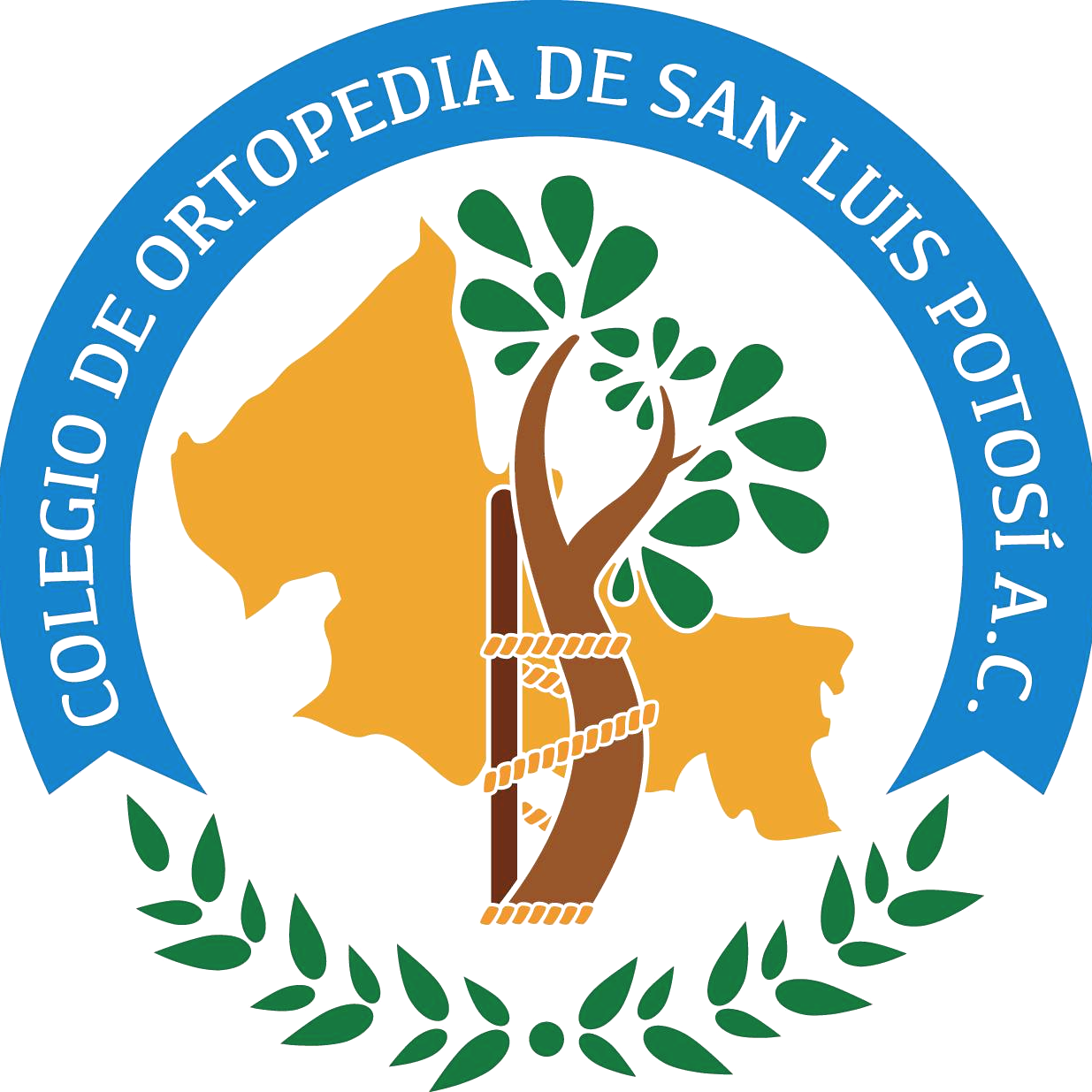 Dr carlos m. luna cano socio Ortopedia SLP